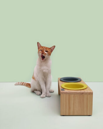 comedero elevado para gato