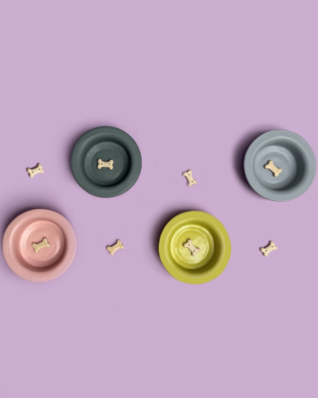 bowl en cerámica para gato