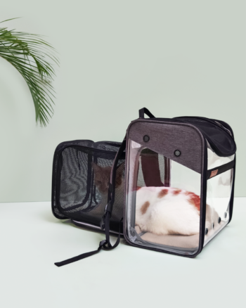 Transportador para gatos